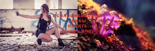 соль ск Абдулино