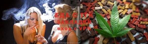индика Алзамай