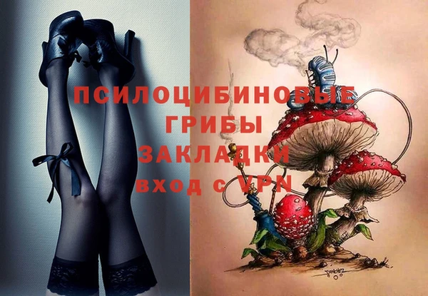 стафф Абаза