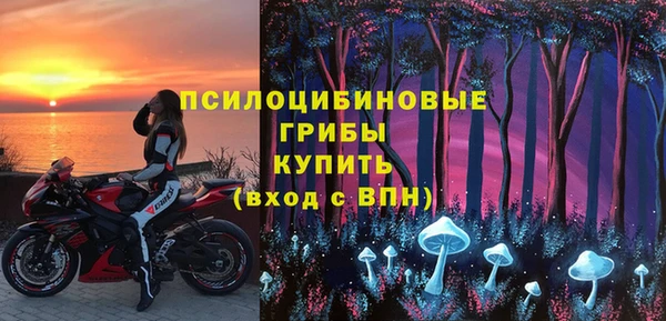 стафф Абаза