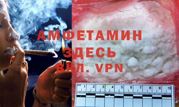 индика Алзамай