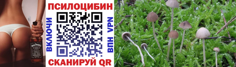 KRAKEN маркетплейс  Старый Крым  Псилоцибиновые грибы Psilocybine cubensis 